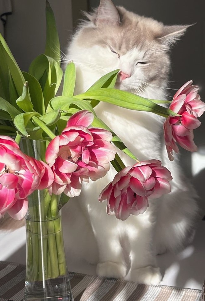 5-AQQpGGB58U4RNR7SosX368j8mOBZbEK6UotIf0wfYYuEcL3j3H3Fwx5oFR_wTmyNHPaTONNzC4apEj.jpg