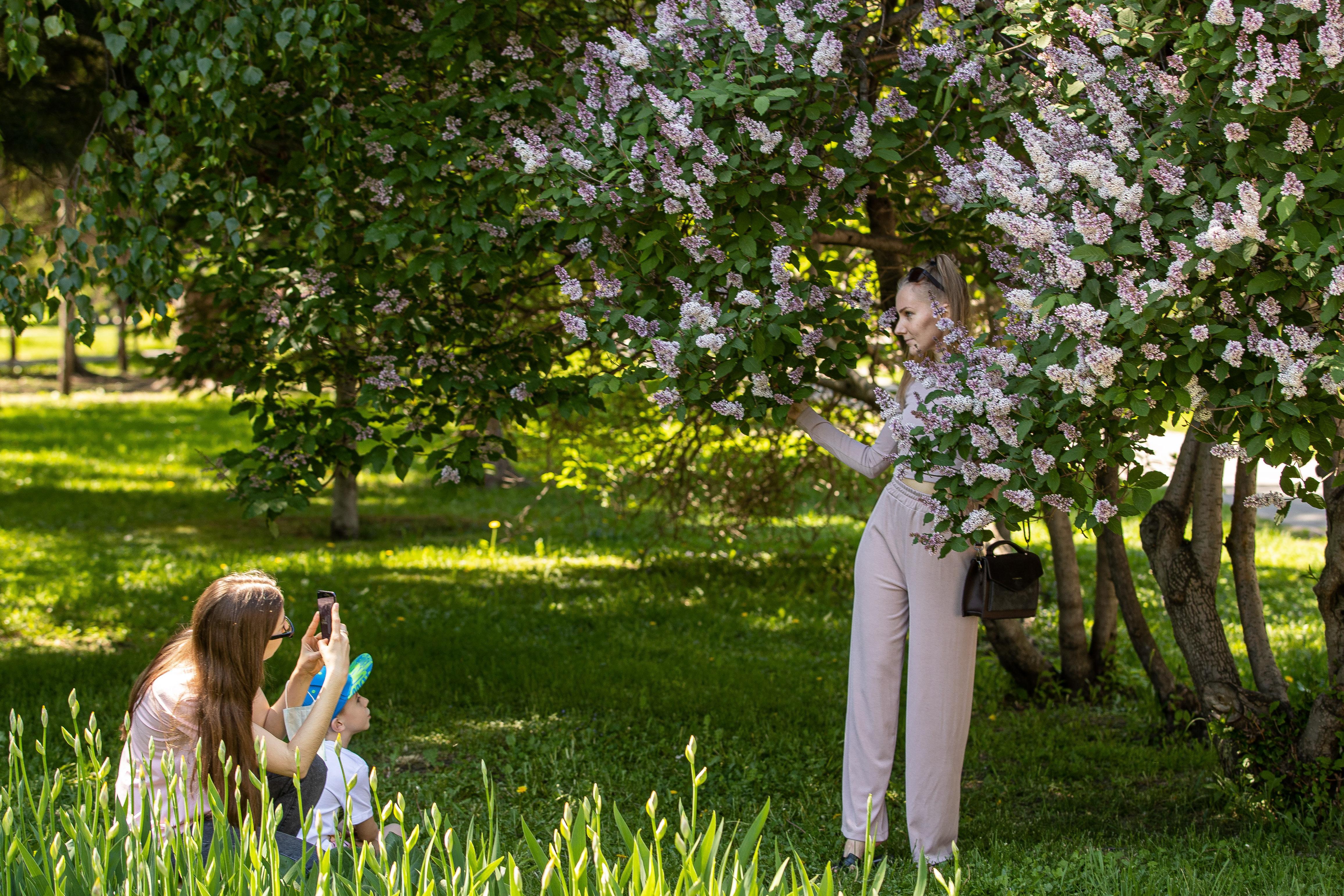 Сбор сирени на общественных территориях: штраф или арест до 15 суток