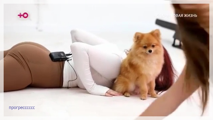 https://i7.imageban.ru/out/2026/05/01/022e34becd3d4e2e3d63ca2ea9252375.jpg