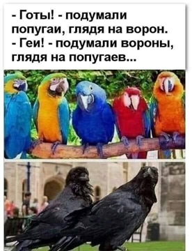 https://i7.imageban.ru/out/2026/05/01/0f2183ec48fbe40dea8e5fae7345cf44.jpg