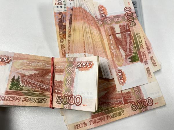 Прибыль пермского завода «Упакс-Юнити» Аркадия Каменева упала на четверть