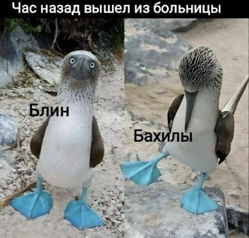 https://i7.imageban.ru/out/2026/05/01/7ada7b37688ad7d8ebe96894d6bd684e.png