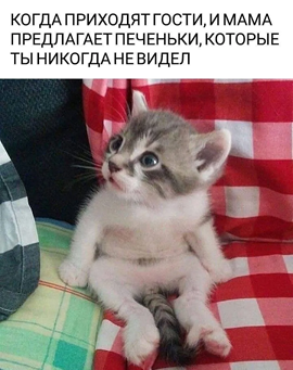 https://i7.imageban.ru/out/2026/05/01/de50eb6b1169d117b105f18e7be31881.png