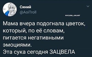 https://i7.imageban.ru/out/2026/05/09/1a6f04cbd1bee3d2cfaa64852075dd37.jpg