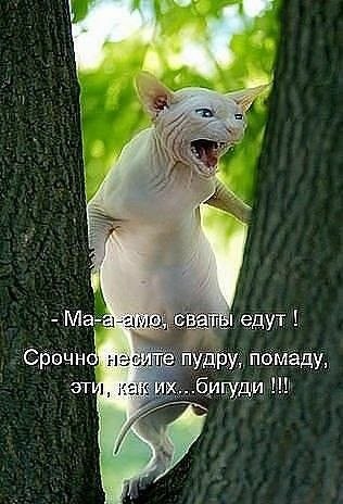 https://i7.imageban.ru/out/2026/05/09/45bb292a40861624d1e41c500248b7d3.jpg