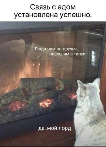https://i7.imageban.ru/out/2026/05/09/fa58d36d16dbb335957bf4321604e88d.jpg