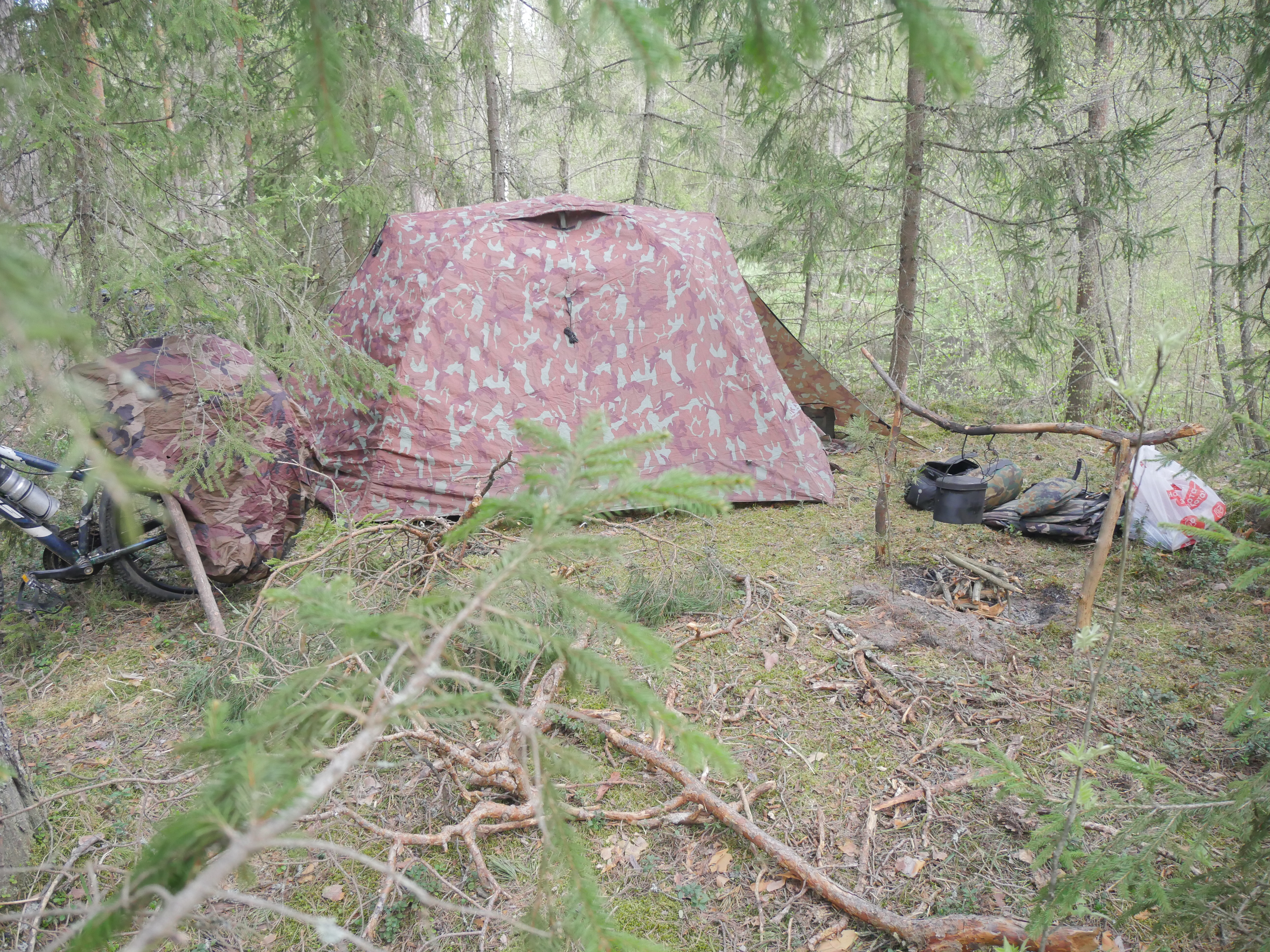 P1570017.JPG