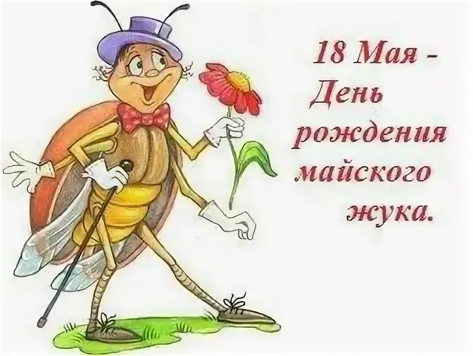 https://i7.imageban.ru/out/2026/05/18/36e0601af9044d840dac6614f79ef68c.webp
