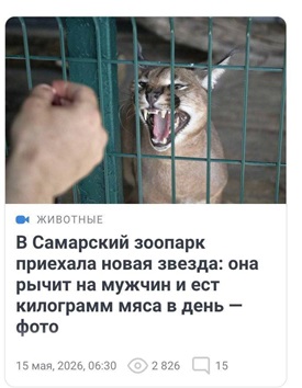 https://i7.imageban.ru/out/2026/05/18/d01e353406b8bcc8c713a526c18dbabd.jpg
