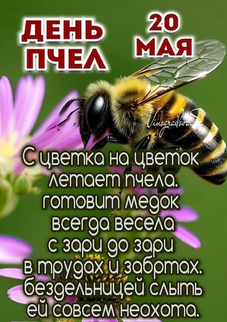 https://i7.imageban.ru/out/2026/05/20/41b19536eb7beaf579a57960196cf916.jpeg
