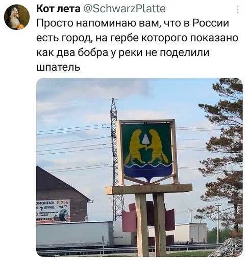 https://i7.imageban.ru/out/2026/05/20/8072b985b27cdeeee794ae3f1bd7afea.jpg
