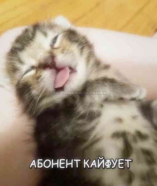 wZKXZRZTIt0eCbGntOyojQ0yf3xbETxZPEI0V_f9irIKTPLDb8XHWGWUidOH.jpg