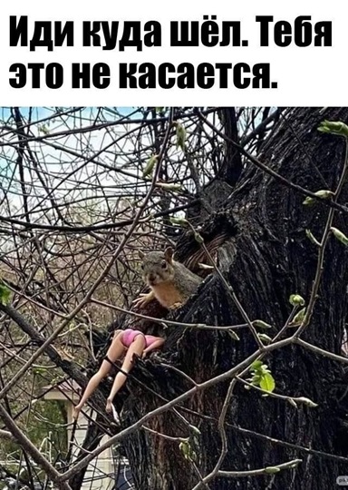 https://i7.imageban.ru/out/2026/05/23/cc3cbeb331d2511efefb7facee264e65.jpg