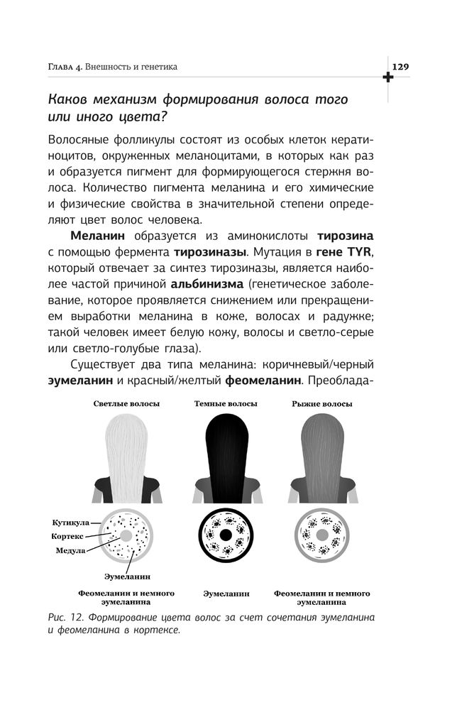 Скриншот 2 Жегулина И - Генетическая лотерея.jpg