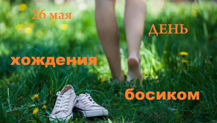 https://i7.imageban.ru/out/2026/05/26/4e2364ddf5b6b44a45044ba728fe44e1.jpeg