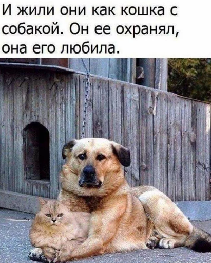 07561f492bf00ae5a01815470194cde7.png