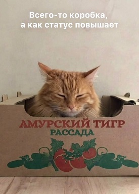 https://i7.imageban.ru/out/2026/05/29/fb3c6f247b46068ccfaf060b209c5b92.jpg