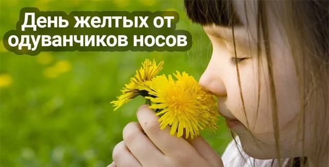 https://i7.imageban.ru/out/2026/05/30/2ad022ae65de1201fa7148be7716e3a7.jpeg