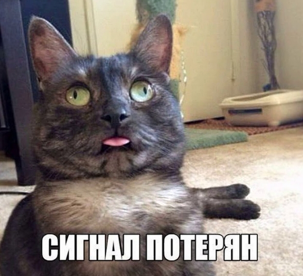 Скриншот 31-05-2026 155800.jpg