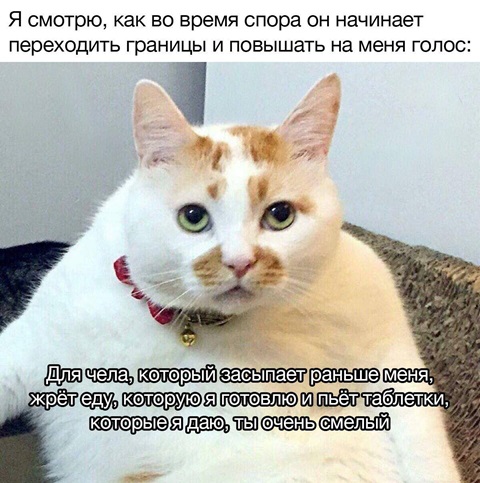 https://i7.imageban.ru/out/2026/06/04/0830314df31a448ace74f5b1d74baf83.jpg