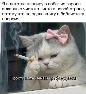https://i7.imageban.ru/out/2026/06/04/15c5001e30f9d92954d0c8917f874e5c.jpg