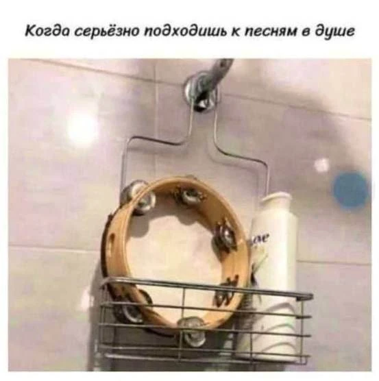 https://i7.imageban.ru/out/2026/06/10/1a140a1bb6fb79b828ac3519b44e8d23.png