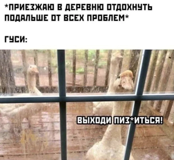 https://i7.imageban.ru/out/2026/06/10/ac4e704b7efd22463ea108a7ed311e30.png