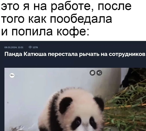 https://i7.imageban.ru/out/2026/06/10/ba0e06b6577f0e79bbba30f7ac94807f.png