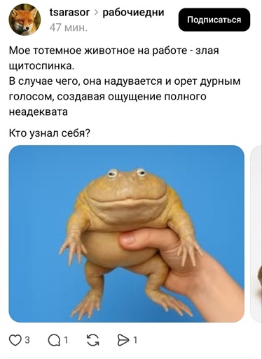 https://i7.imageban.ru/out/2026/06/11/80cc25bd26a09cf560bd3bd33aff3ceb.jpg