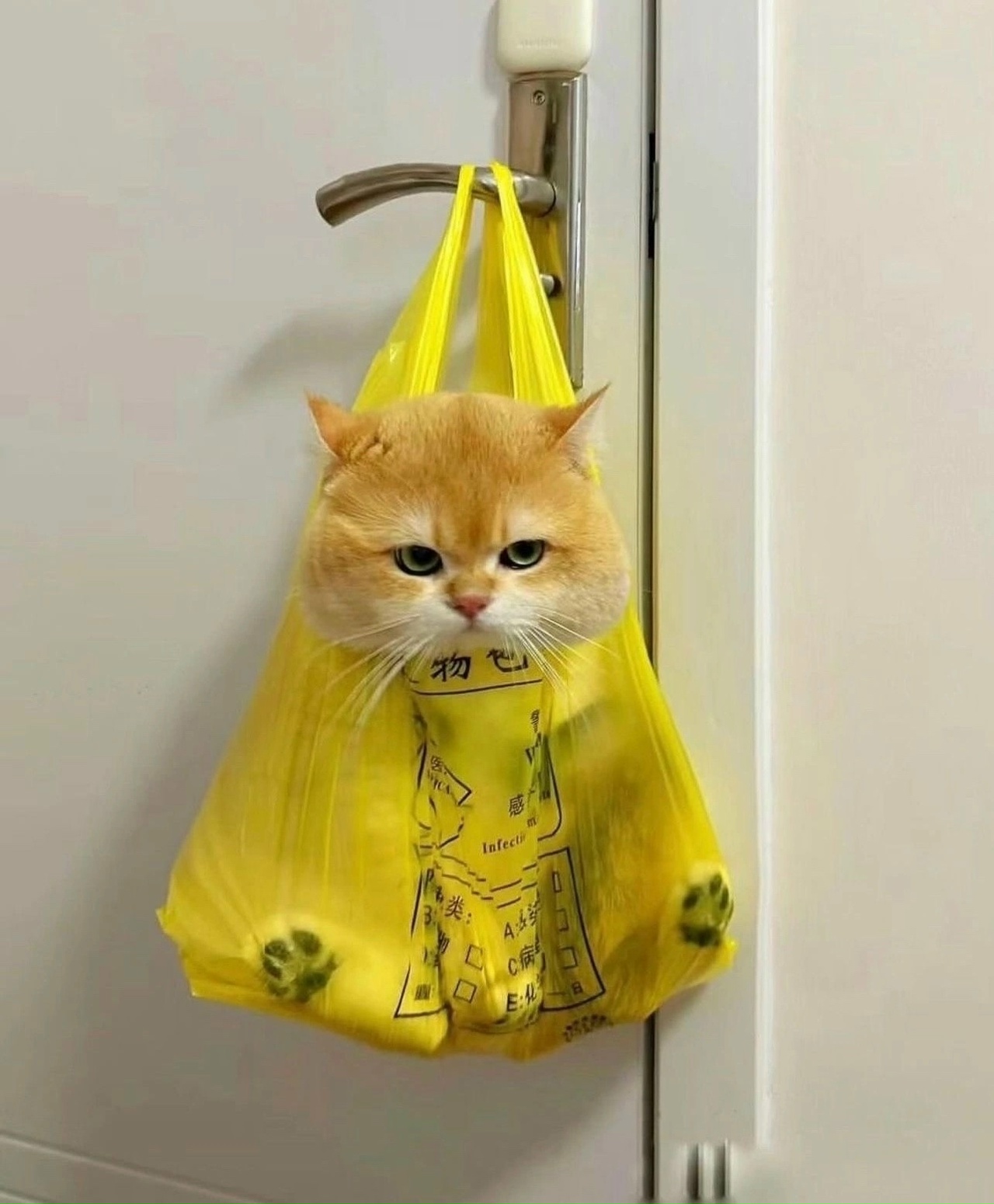 w4oUeH8pE4gYK4VWSA9M3r2iL63nXopmuF-E4pGEfmx3vd_6d17sTgXdZB4adHWeqYjpqGiHEi1wV3XGsJxXL4nX.jpg