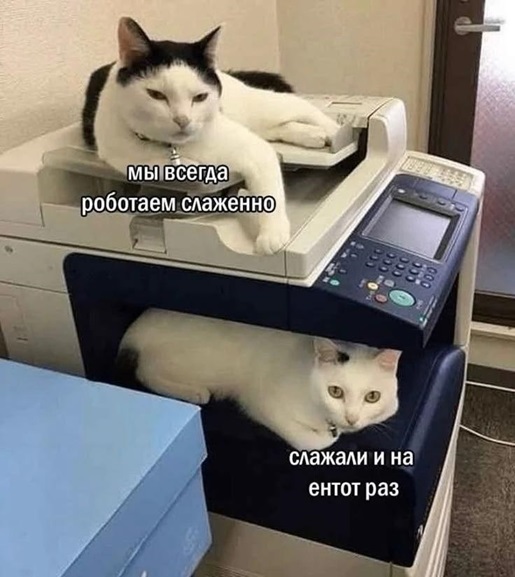 https://i7.imageban.ru/out/2026/06/12/57ab55804e9f2609f459efa686d0ee8a.jpg