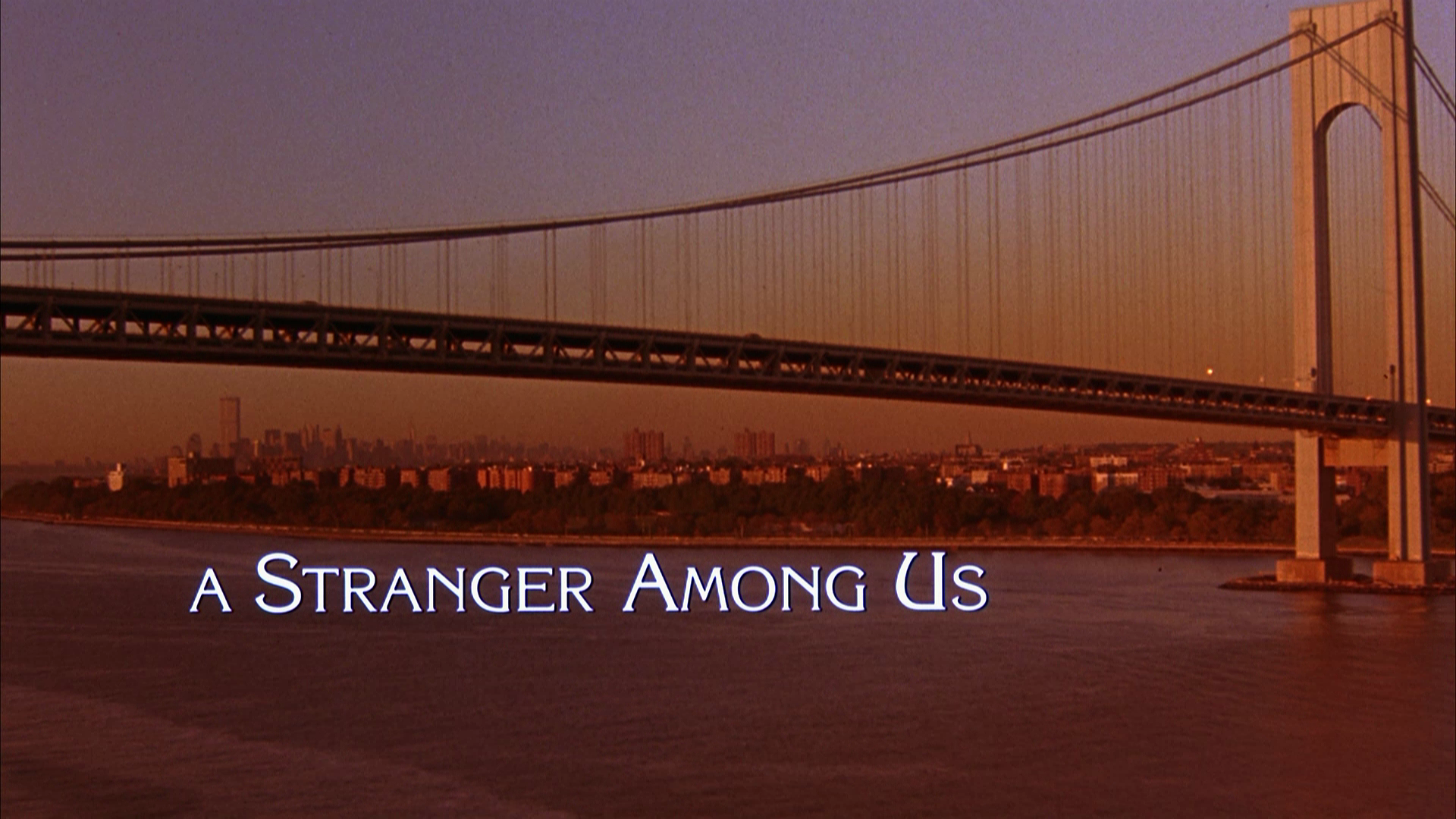 A.Stranger.Among.Us.1992.Imprint.BDRemux.1080p.mkv_20260612_074354.289.png
