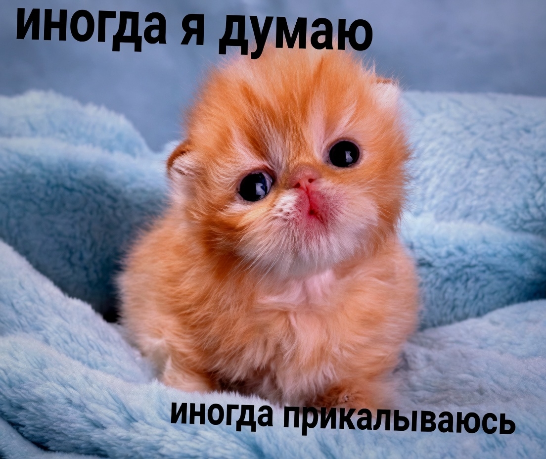 пN3j0w9F8AFUGMRWCJVeqXcBbg4jbqZEvihzI51MplgDpEHRYA.jpg
