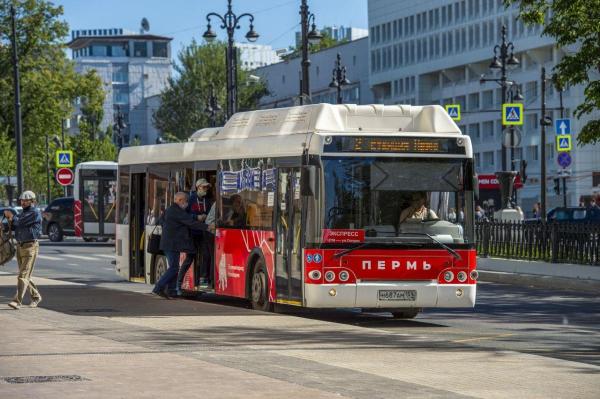 В Перми за полтора года выявлено свыше 170 тысяч нарушений оплаты проезда