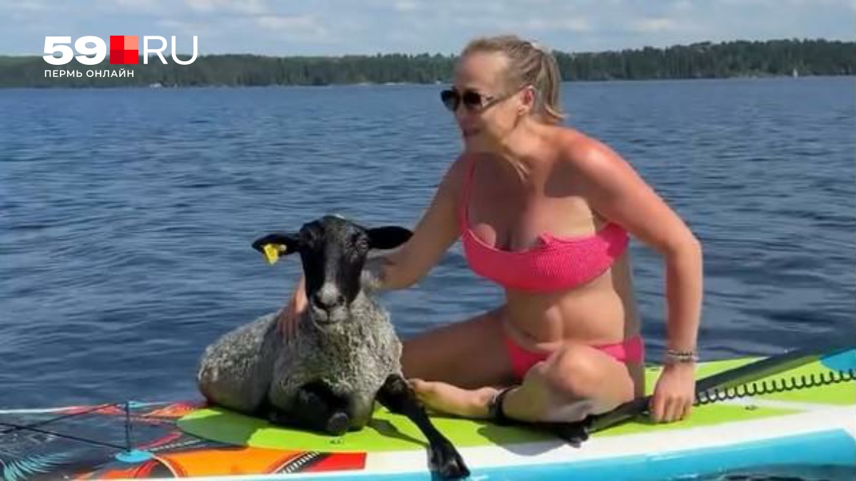 В Перми мама с дочерью спасли тонущего барана в Каме — видео стало вирусным