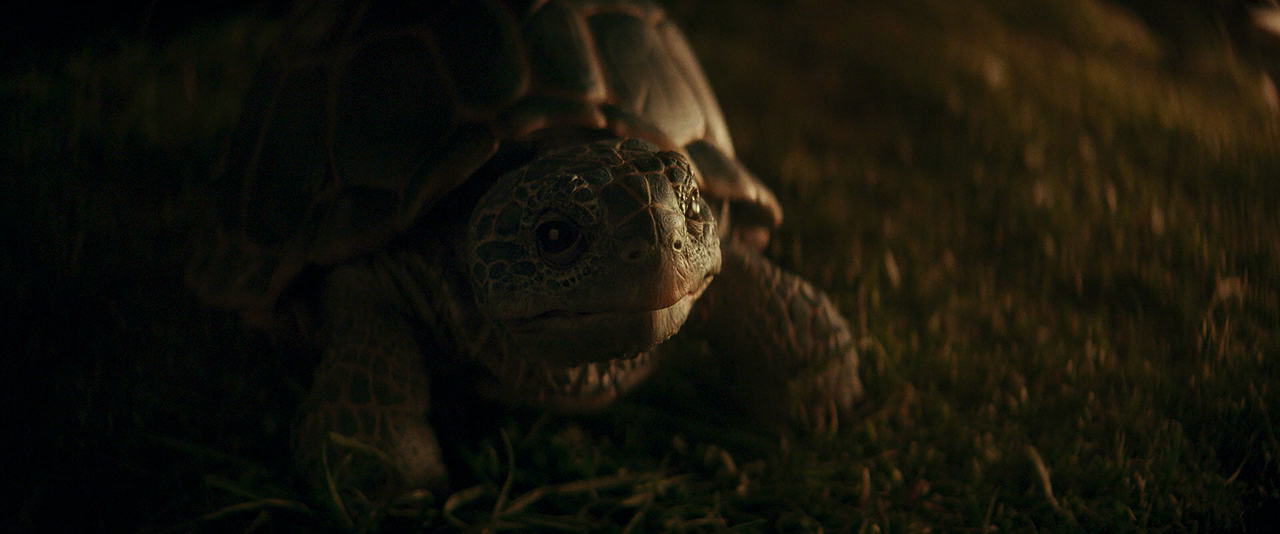 Momo.2025.DUB.BDRip.720p.x264.seleZe.mkv_20260701_175046.722.png