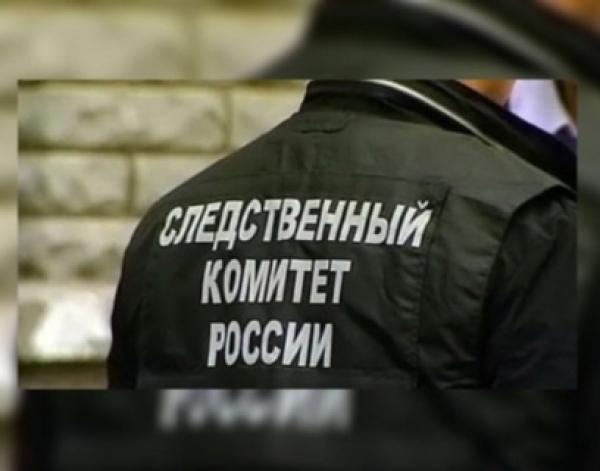 Следователи выясняют причины гибели девочки в реке Колва Пермского края