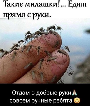 https://i7.imageban.ru/out/2026/07/03/c46438cdbc1a08476bbceb1da1bad773.jpg