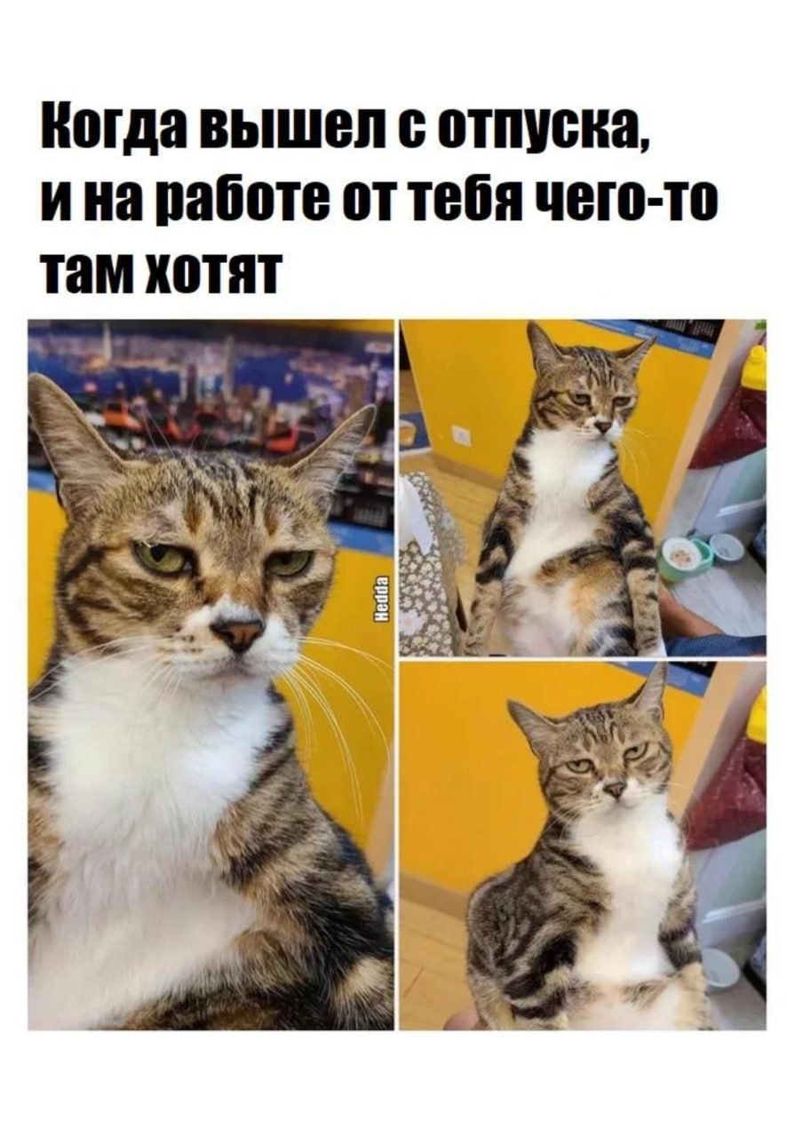 DQzSQr-ol0uIj_DqVVzjYj5zGJlE86nZhAHKvTtWAwWqDgrT5m5Cgu5lX7KFZTxsUEjVN0WX.jpg