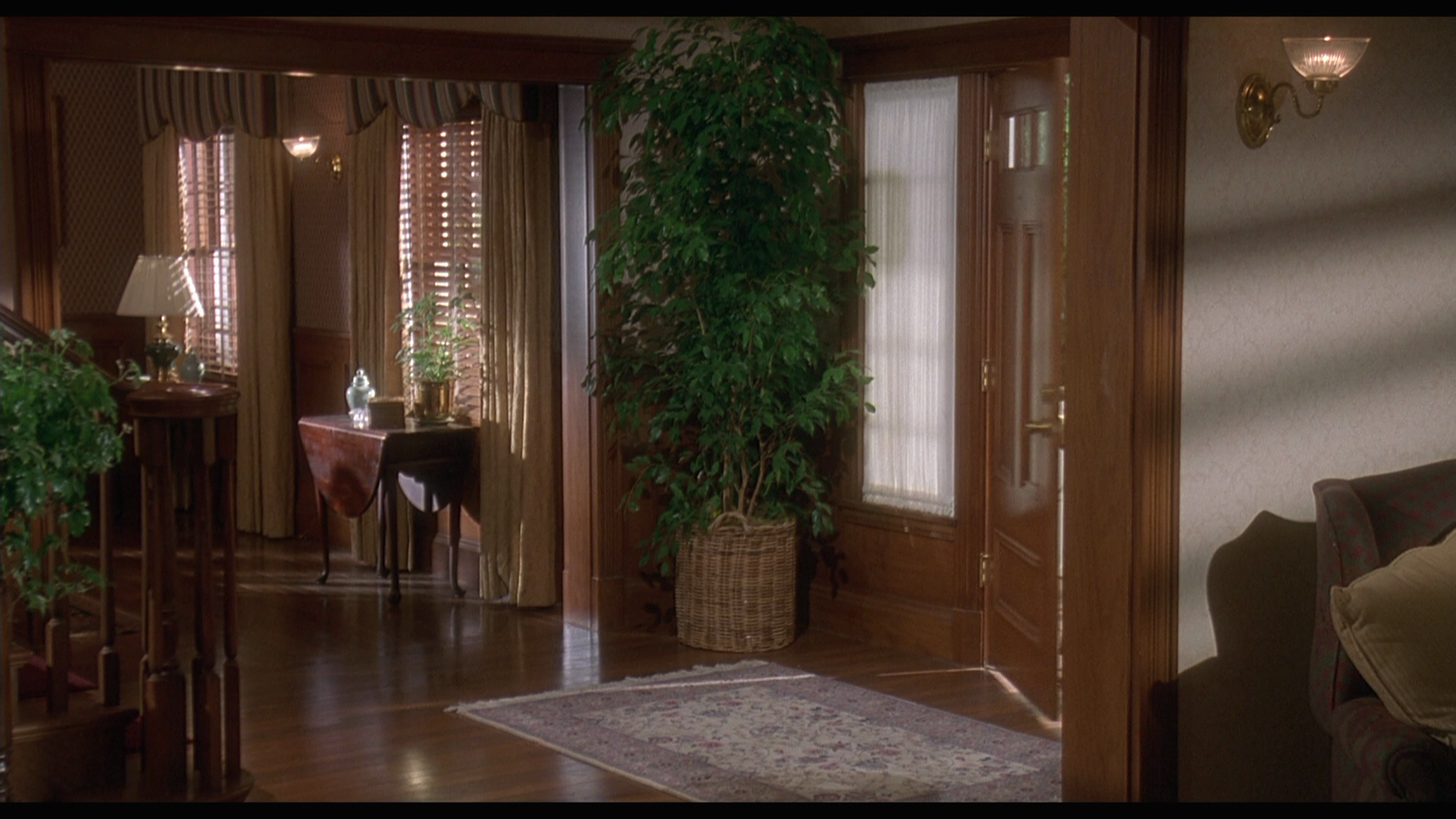 Fatal.Instinct.1993.Olive.Films.BDRemux.1080p.mkv_20260705_153844.046.png