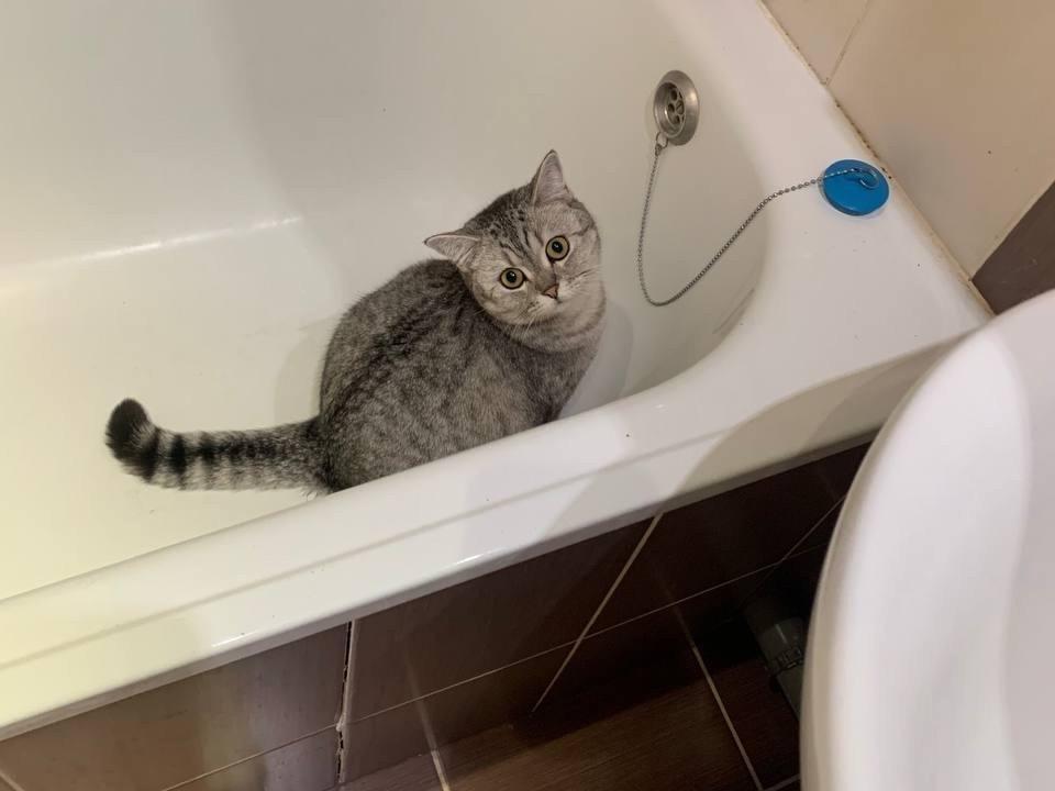 В Перми отключат холодную воду в пяти районах: более 300 адресов