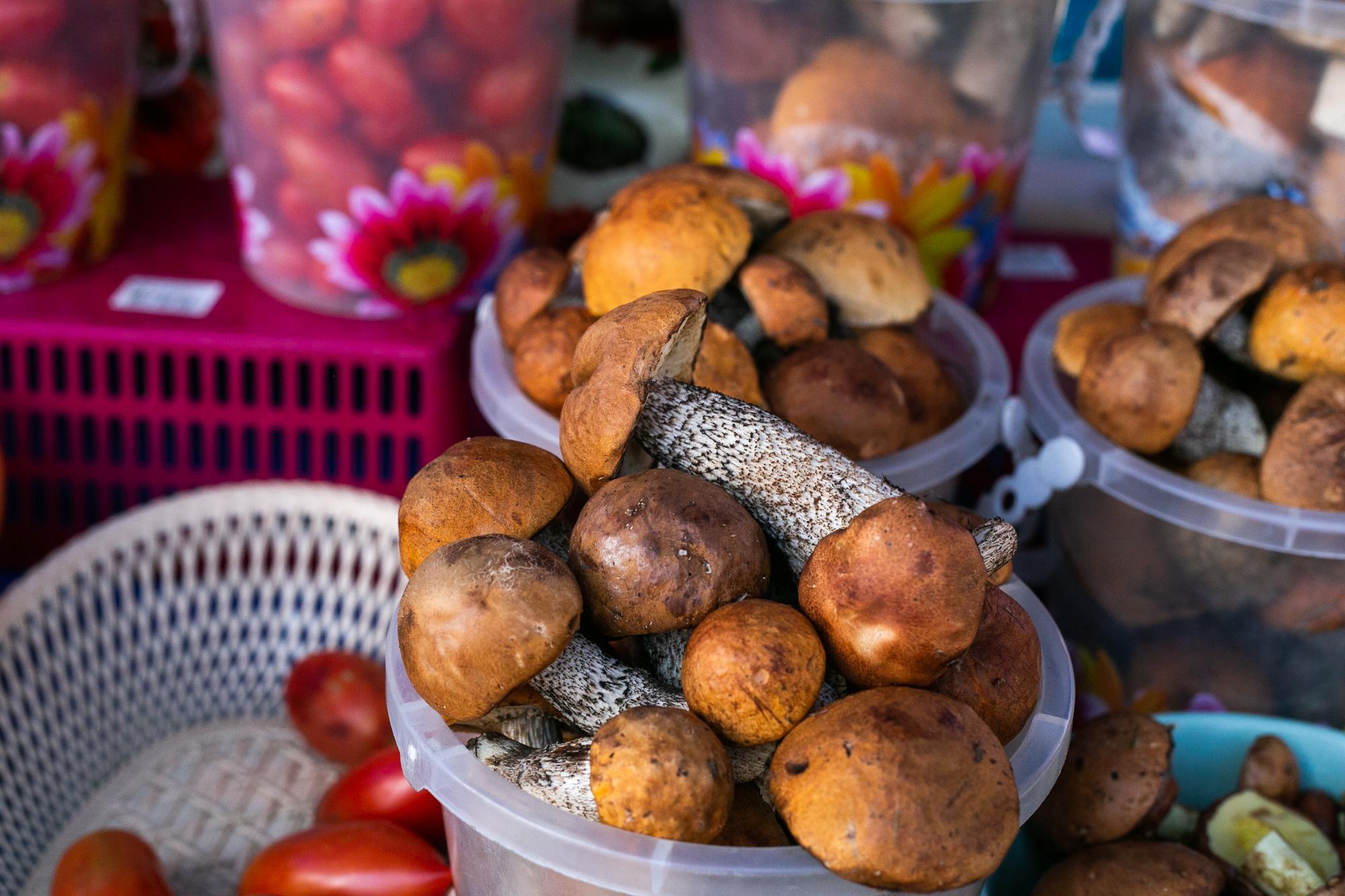 Грибы июля: топ-5 самых вкусных мест для сбора в Пермском крае