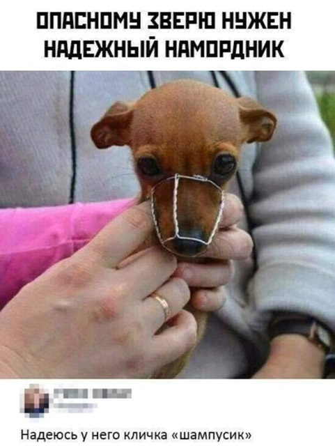 https://i7.imageban.ru/out/2026/07/11/6c328f35ecae725ecac7d8fb2e975da3.jpg