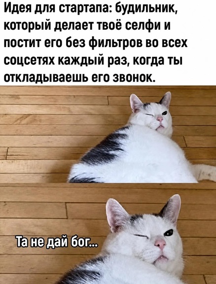 https://i7.imageban.ru/out/2026/07/12/6b18a577944d188ba1bb0ea32320c411.jpg