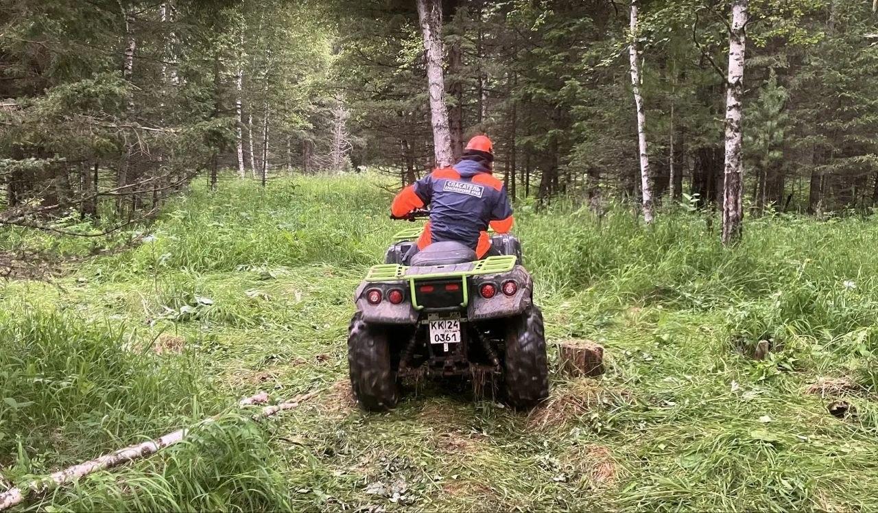 Поисковая операция по Усольцевым завершилась безрезультатно