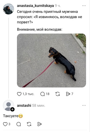 https://i7.imageban.ru/out/2026/07/16/dc43de2de27b856352b0f507d72e8ebc.jpg