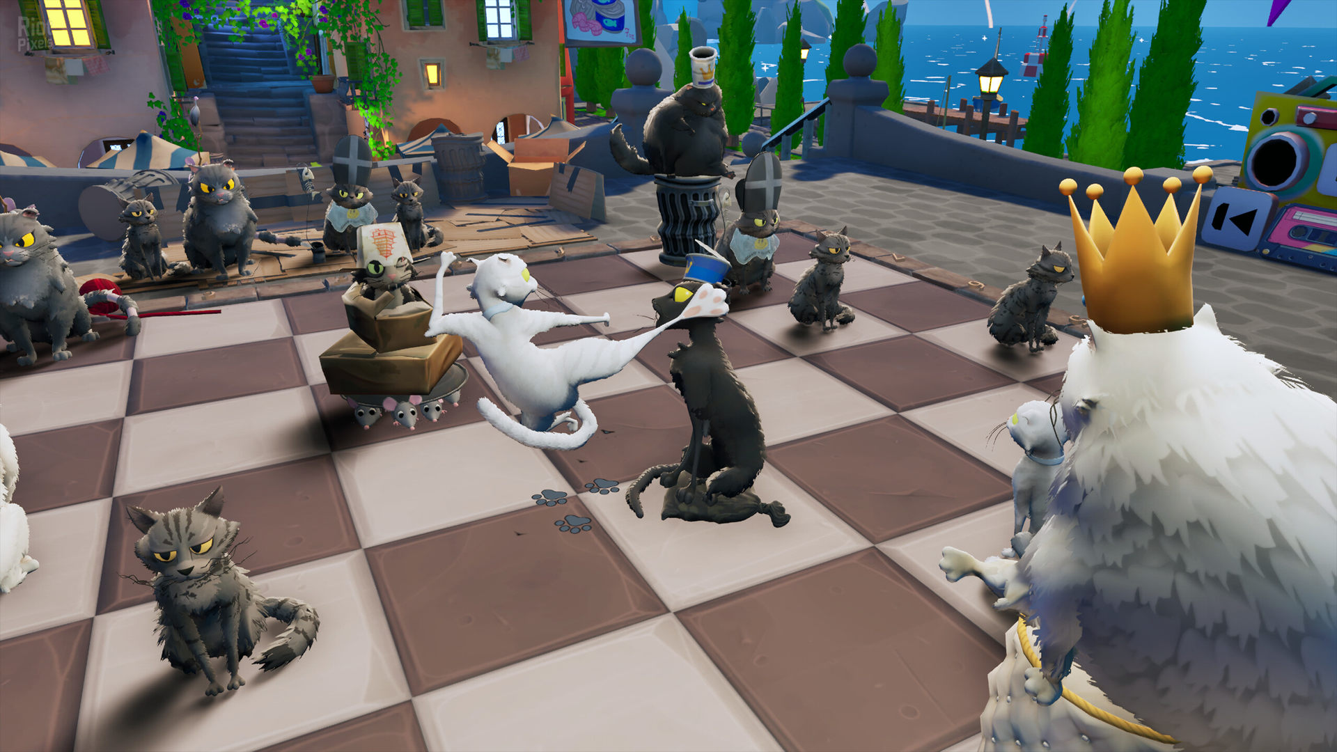 screenshot.cat-chess.1920x1080.2026-07-15.7.jpg
