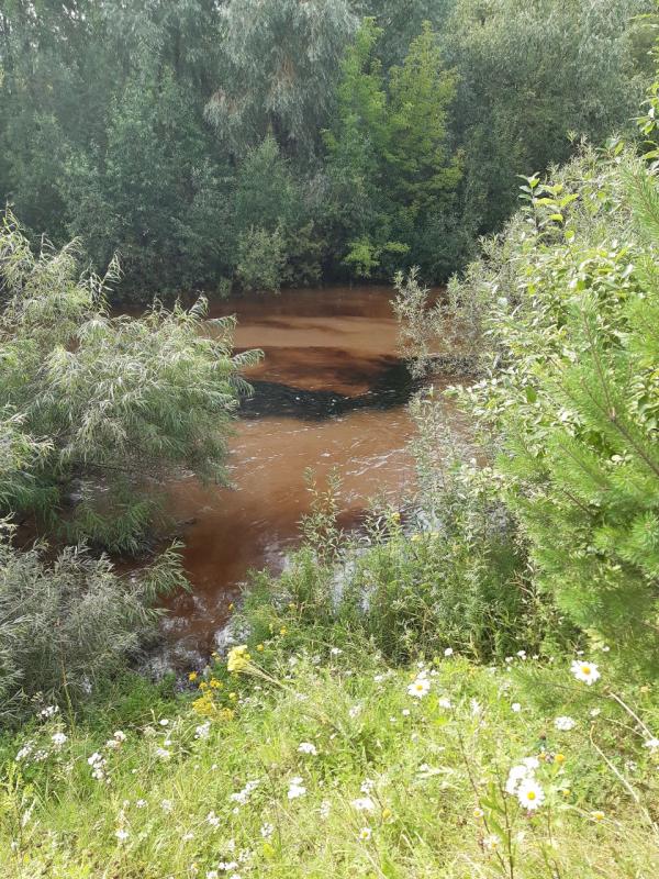 В Пермском крае создана рабочая группа для очистки рек Пыж и Мулянка
