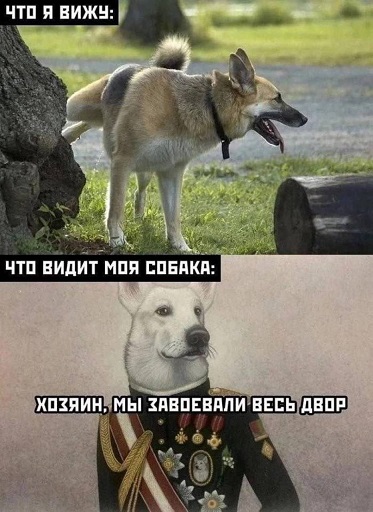 https://i7.imageban.ru/out/2026/07/27/44c054dba919167af02ffb4bd21de50d.jpg