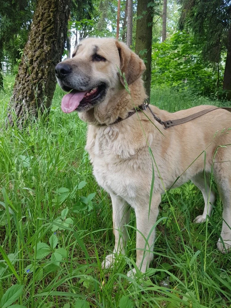 https://i7.imageban.ru/out/2026/07/29/18b4dc863594779d45e8d50d6faee555.jpg